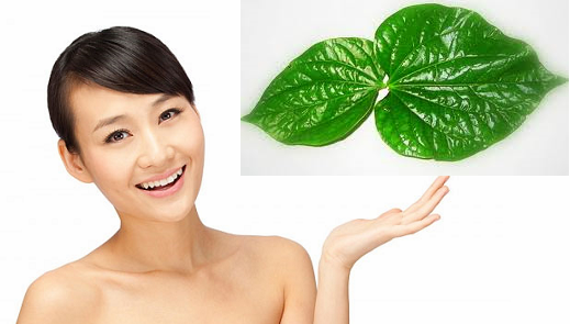 Mẹo vặt dân gian chữa bệnh viêm phụ khoa cho chị em hiệu quả