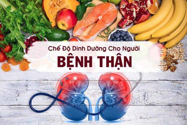 Dinh dưỡng bệnh nhân suy thận mạn giai đoạn cuối đã chạy thận nhân tạo chu kỳ