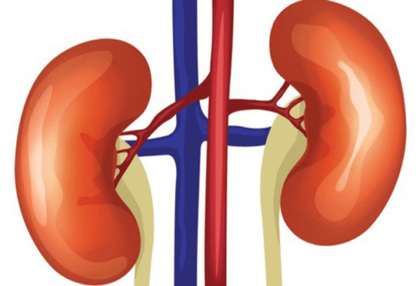 5 triệu chứng bất thường cho thấy thận đang có nguy cơ mắc bệnh