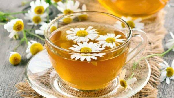 Các Bài Thuốc Đông Y Hỗ Trợ Chữa Cảm Sốt, Chảy Máu Cam Ở Trẻ Nhỏ