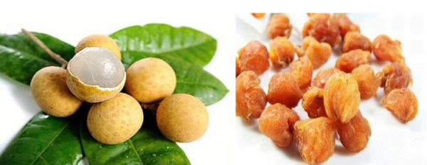 Dược liệu bổ dưỡng từ cây Nhãn