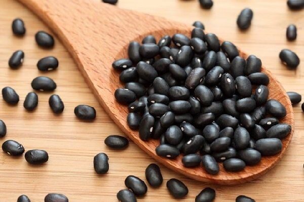 Đậu đen giúp nâng cao sức đề kháng, hỗ trợ điều trị bệnh